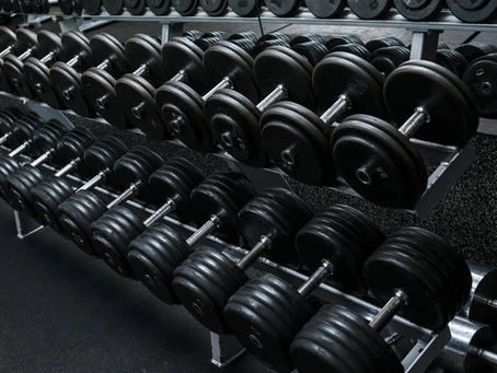 A row of black dumbbells in a gym.